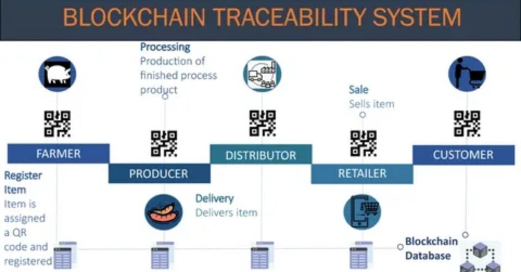 Blockchain technology being used for dairy traceability, ensuring safe milk supply and transparent farm-to-table tracking.