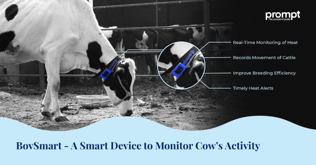 IoT and Cow Wearable Technology
