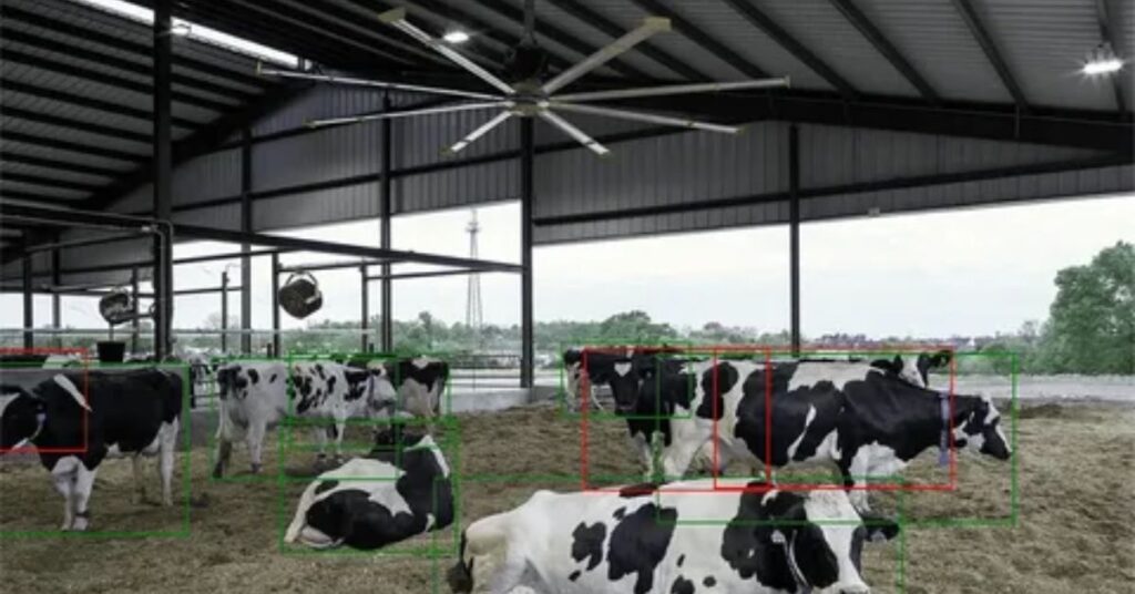 Drone Surveillance in Dairy Farms