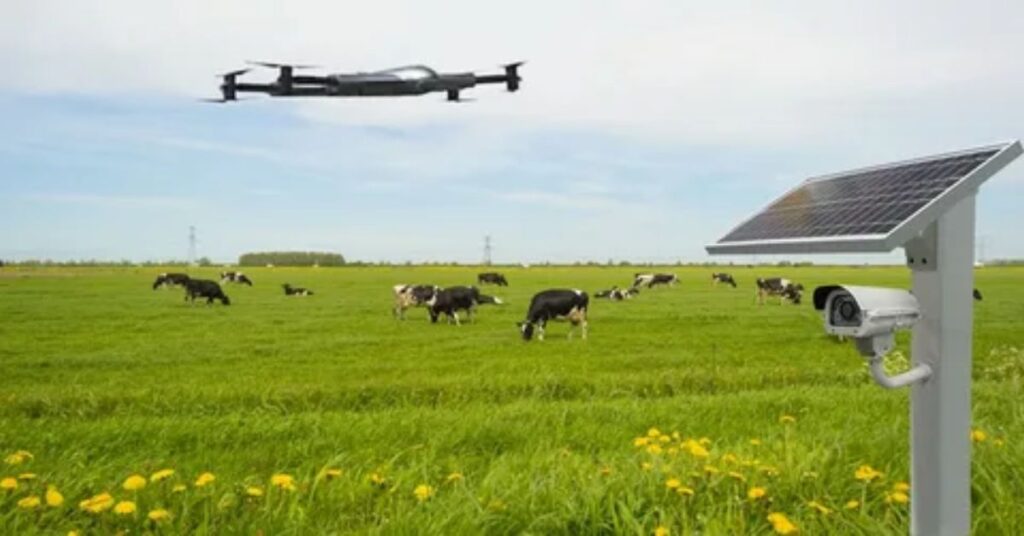 Map view of pasture captured by drone surveillance