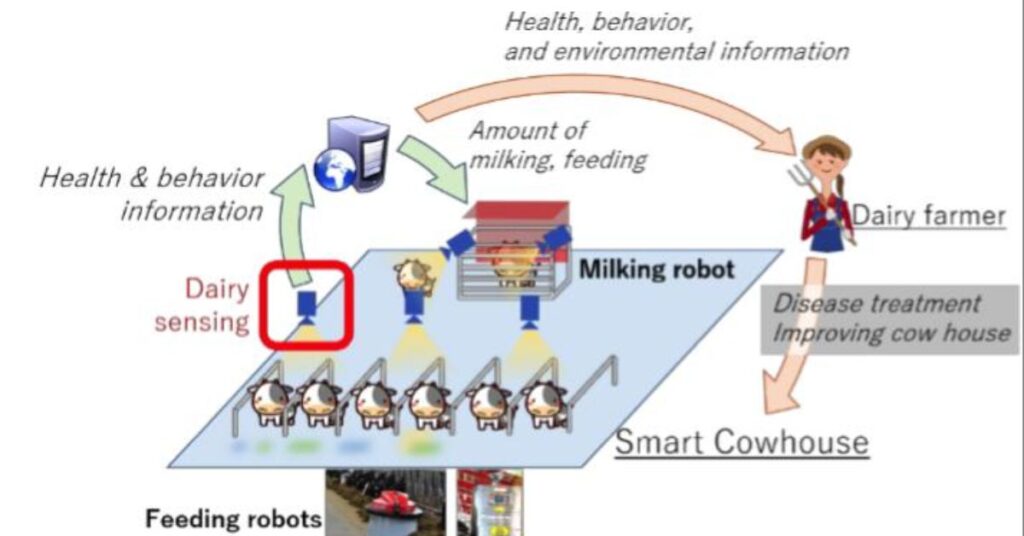 Global adoption of electronic identification systems in dairy farming.
