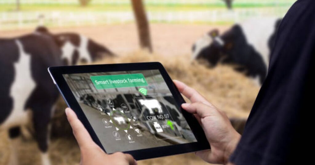 Dairy farmer analyzing AI-powered livestock health dashboard
