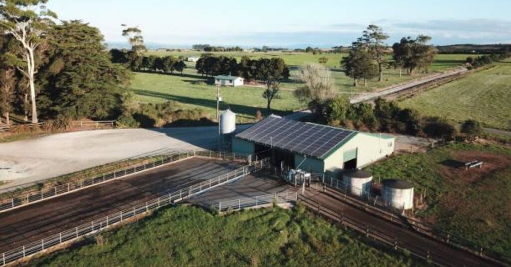 Precision livestock farming infrastructure with sensors and automation
