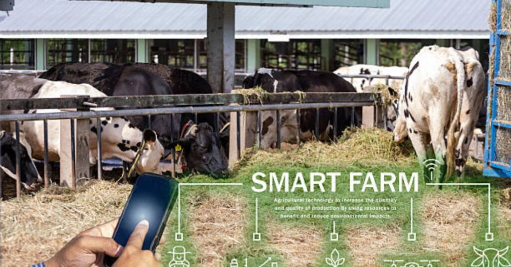 Artificial Intelligence analyzing dairy farm sensor data for disease detection and milk yield prediction