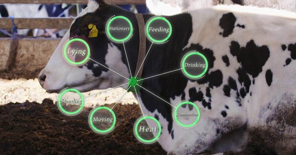 Benefits of Animal Health Tracking Devices